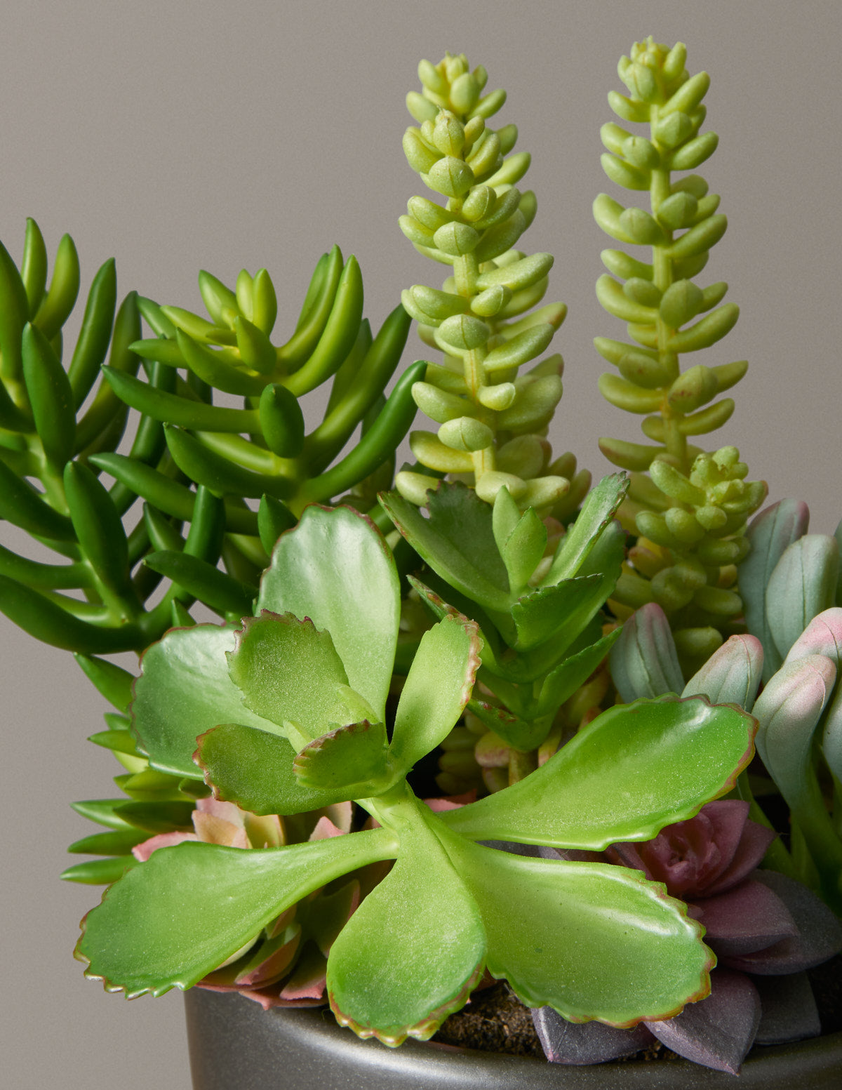 Faux Succulent Arrangement