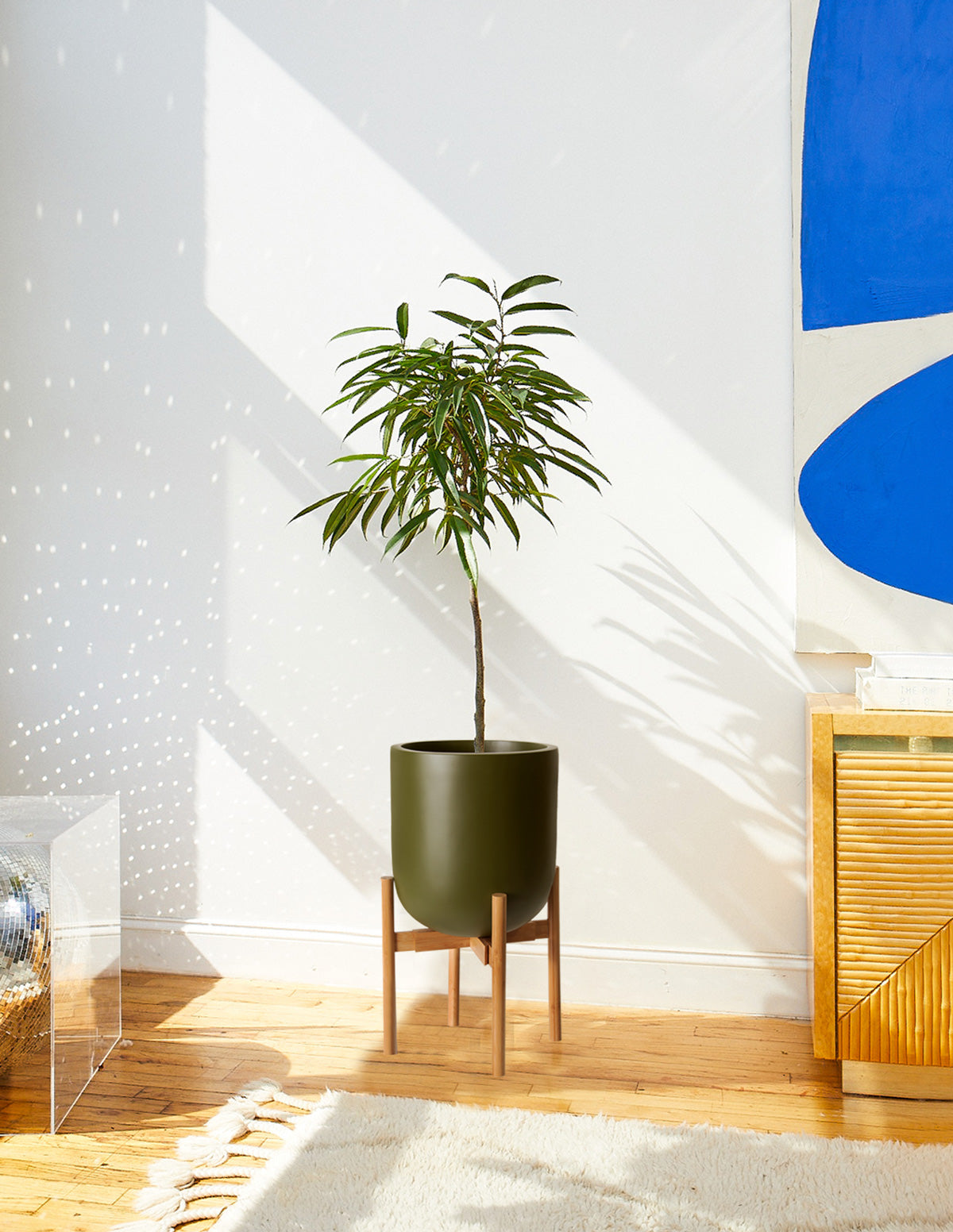 plant stands for indoor plants Large Pallas Planter