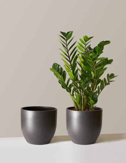 Large Grant Planter