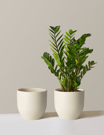 Large Grant Planter