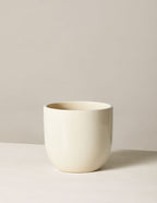 bundle | Medium | Cream