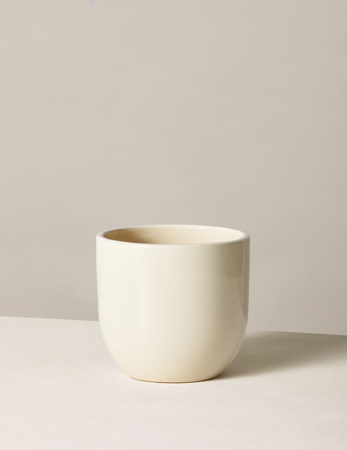bundle | Medium | Cream