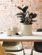 Hyde Ceramic Planter