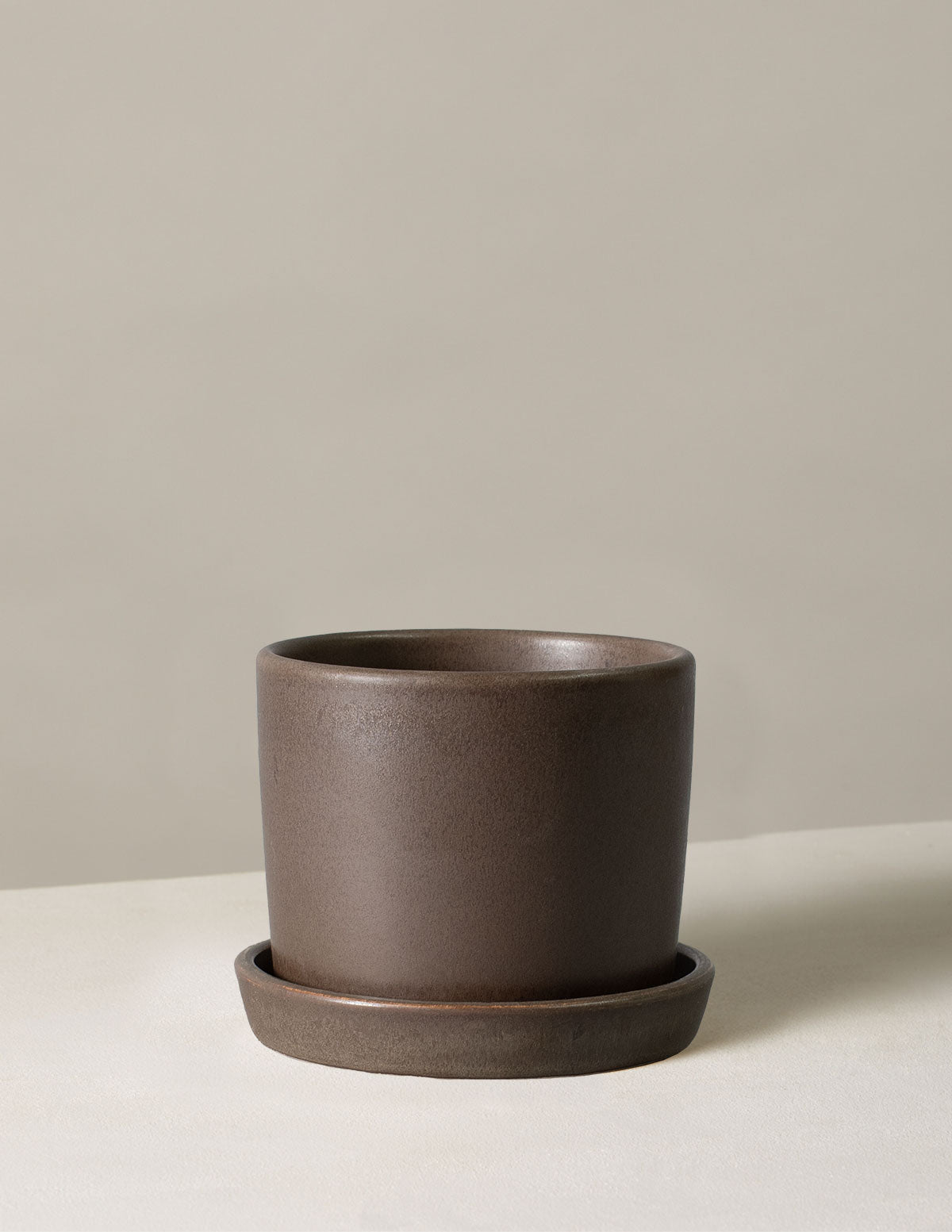 bundle | Small | Olive