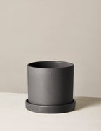 Hyde Ceramic Planter