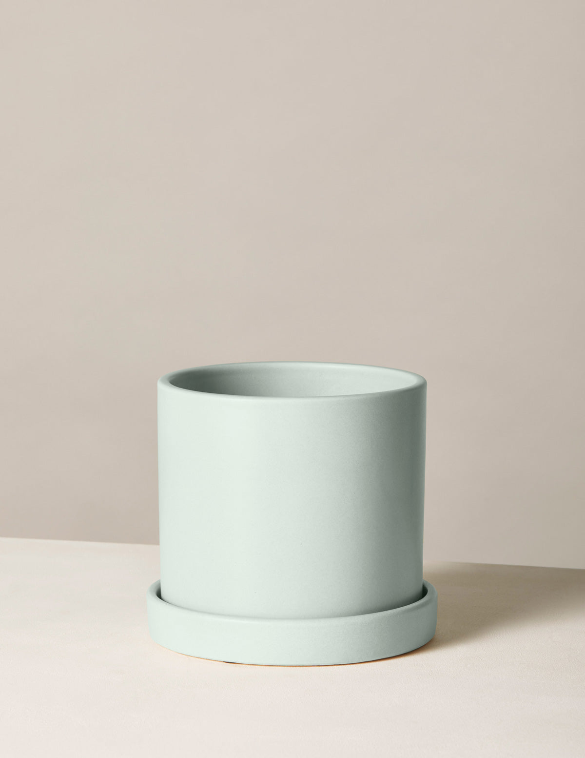 bundle | Medium | Mint