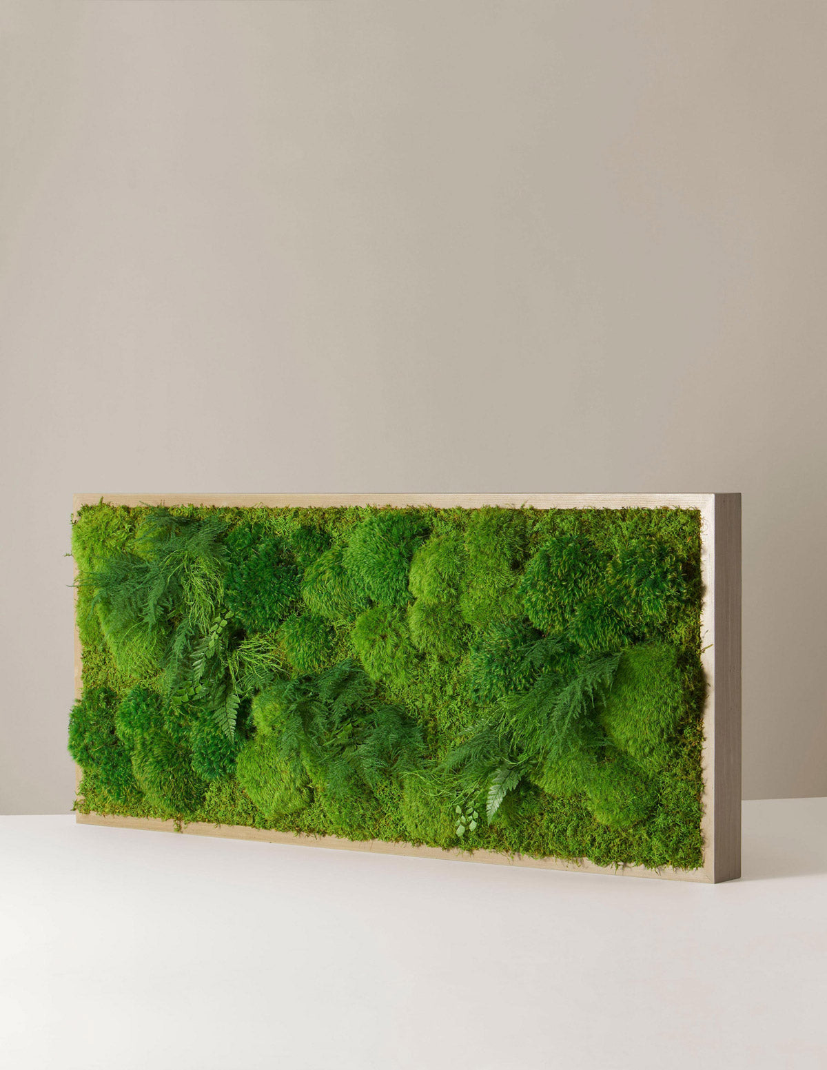 live plant wall hangings Medium Preserved Living Wall